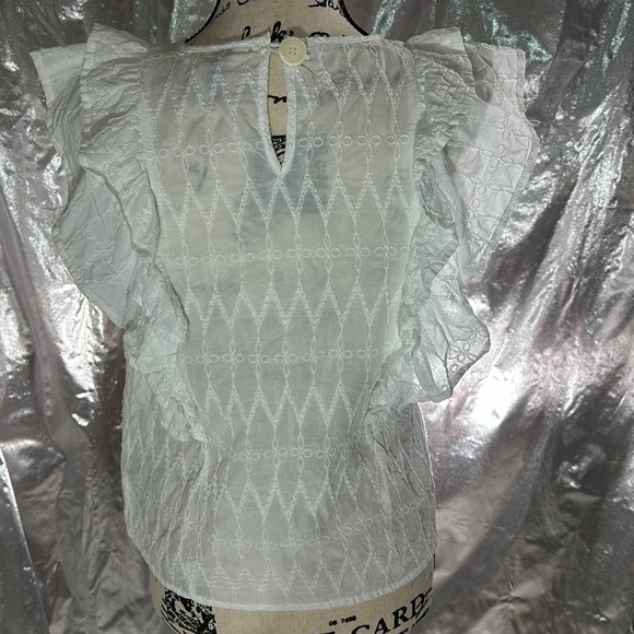 Universal Thread Embroidered Ruffle Sleeve Top - Picture 5 of 11